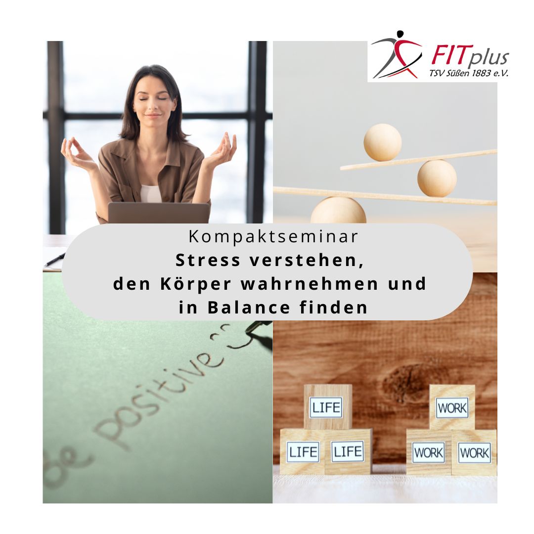 Kompaktseminar: „Stress verstehen, den Körper wahrnehmen und in Balance finden“   